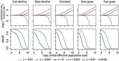 Darwinism for the Genomic Age: Connecting Mutation to Diversification